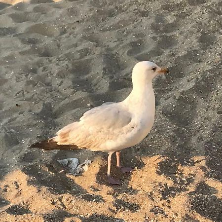 德帕内Le Beau Coin别墅 外观 照片
